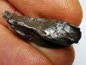 METEORITE: SIDERITE IIAB from SIKHOTE ALIN, Russia
