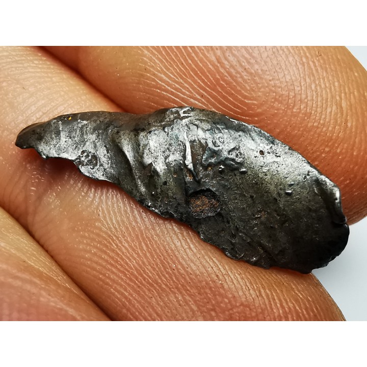 METEORITE: SIDERITE IIAB from SIKHOTE ALIN, Russia