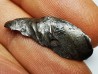 METEORITE: SIDERITE IIAB from SIKHOTE ALIN, Russia