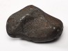 Météorite : SIDERITE IIAB de SIKHOTE ALIN, Russie