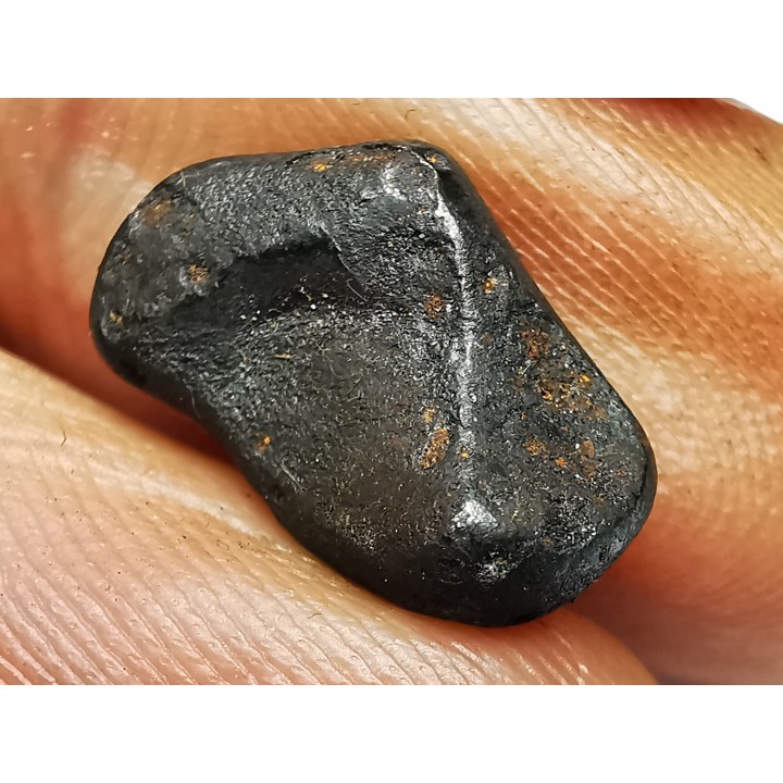 Météorite : SIDERITE IIAB de SIKHOTE ALIN, Russie