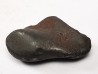 Météorite : SIDERITE IIAB de SIKHOTE ALIN, Russie
