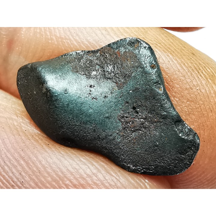 Météorite : SIDERITE IIAB de SIKHOTE ALIN, Russie