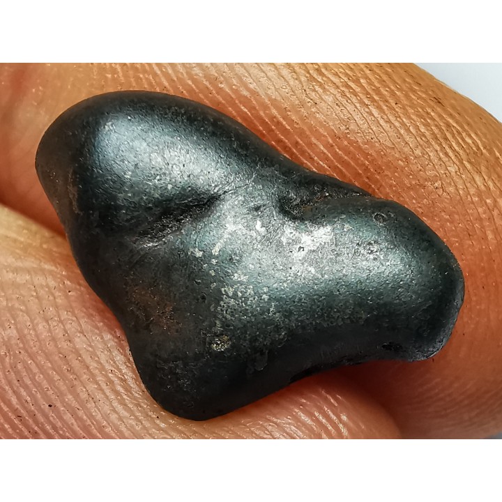 Météorite : SIDERITE IIAB de SIKHOTE ALIN, Russie