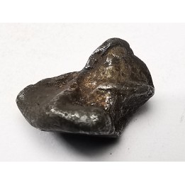 Météorite : SIDERITE IIAB de SIKHOTE ALIN, Russie