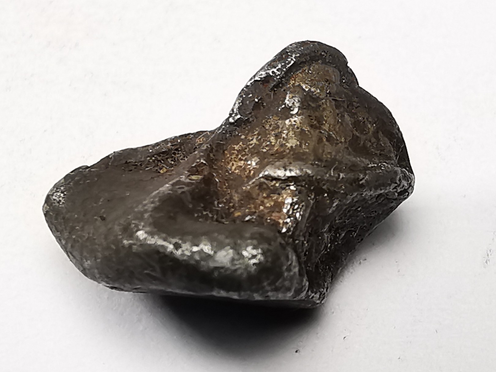 METEORITE: SIDERITE IIAB from SIKHOTE ALIN, Russia