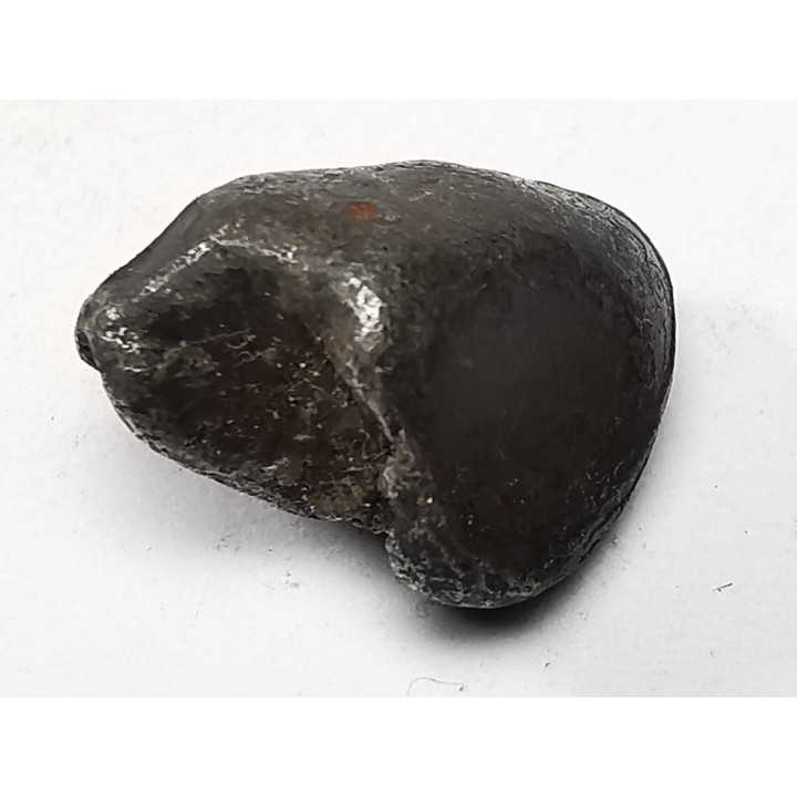 Météorite : SIDERITE IIAB de SIKHOTE ALIN, Russie