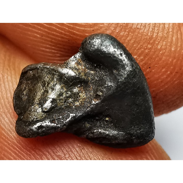 Météorite : SIDERITE IIAB de SIKHOTE ALIN, Russie