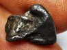 METEORITE: SIDERITE IIAB from SIKHOTE ALIN, Russia