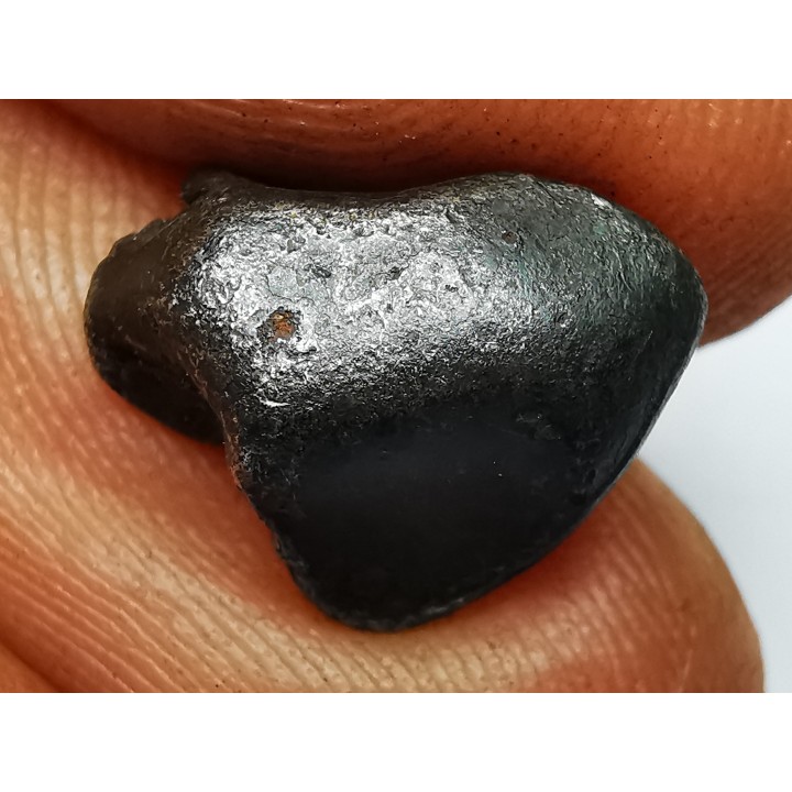 Météorite : SIDERITE IIAB de SIKHOTE ALIN, Russie