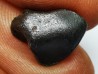 Météorite : SIDERITE IIAB de SIKHOTE ALIN, Russie