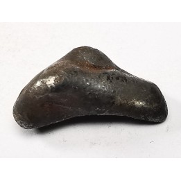 Météorite : SIDERITE IIAB de SIKHOTE ALIN, Russie