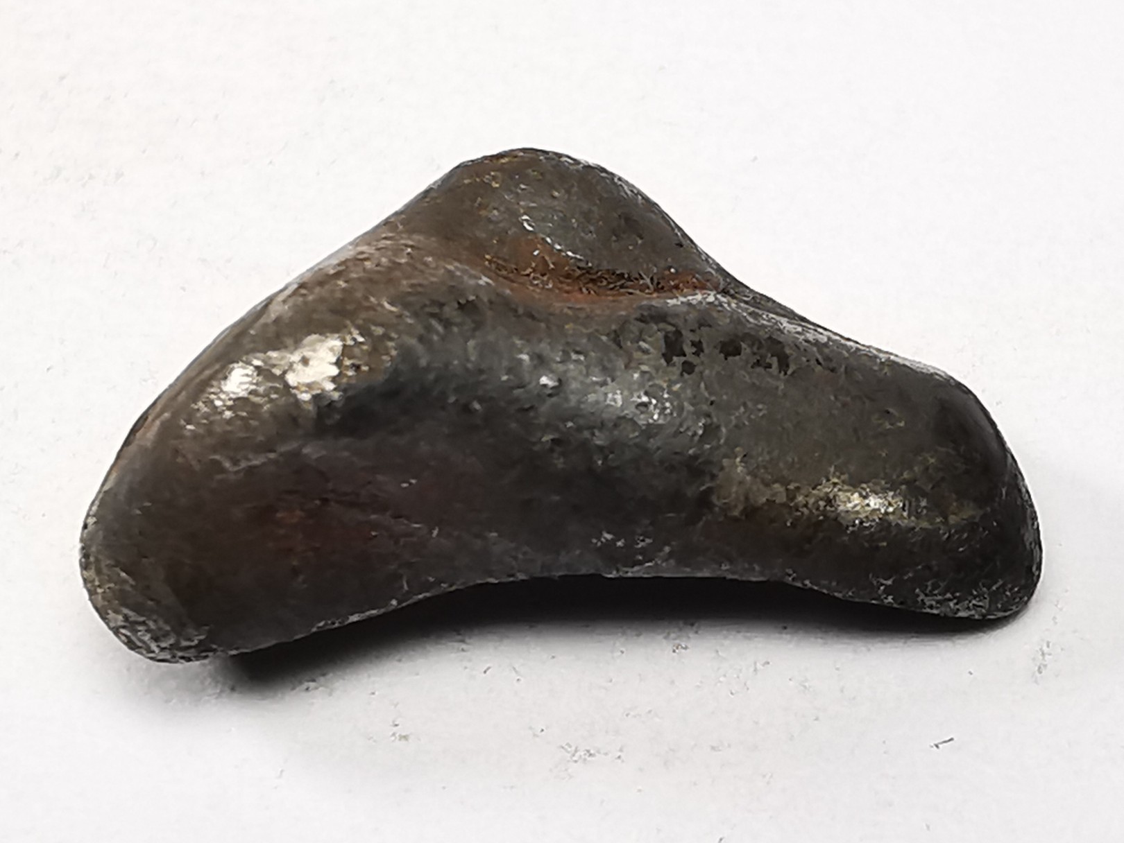 METEORITE: SIDERITE IIAB from SIKHOTE ALIN, Russia