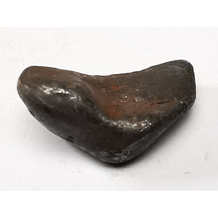 Météorite : SIDERITE IIAB de SIKHOTE ALIN, Russie