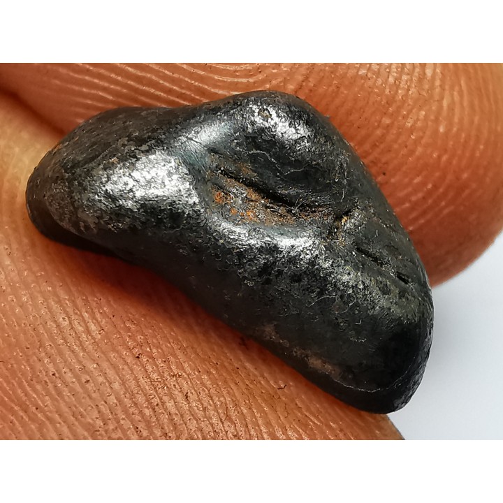 Météorite : SIDERITE IIAB de SIKHOTE ALIN, Russie