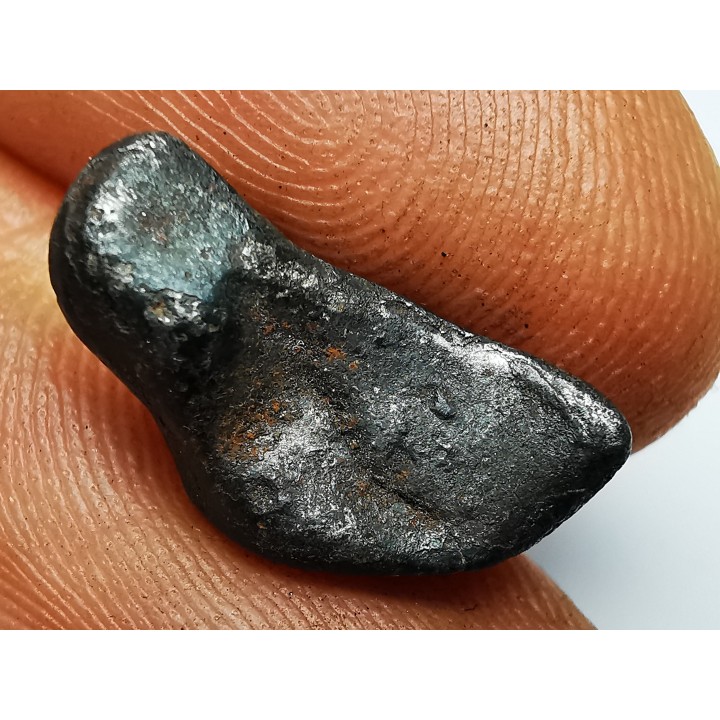 METEORITE: SIDERITE IIAB from SIKHOTE ALIN, Russia