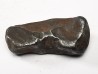 METEORITE: SIDERITE IIAB from SIKHOTE ALIN, Russia