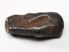 METEORITE: SIDERITE IIAB from SIKHOTE ALIN, Russia