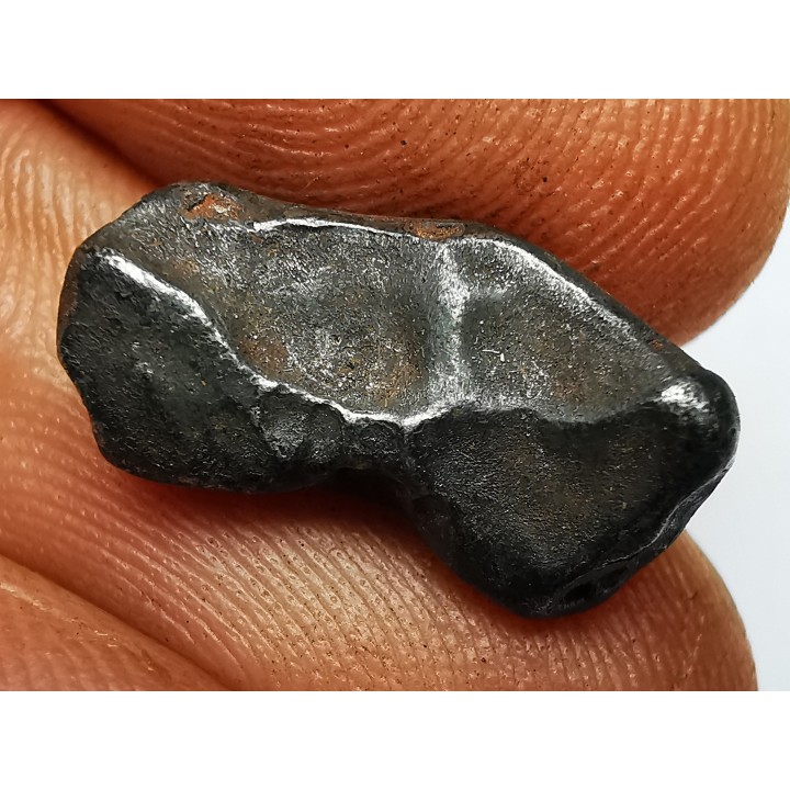 METEORITE: SIDERITE IIAB from SIKHOTE ALIN, Russia