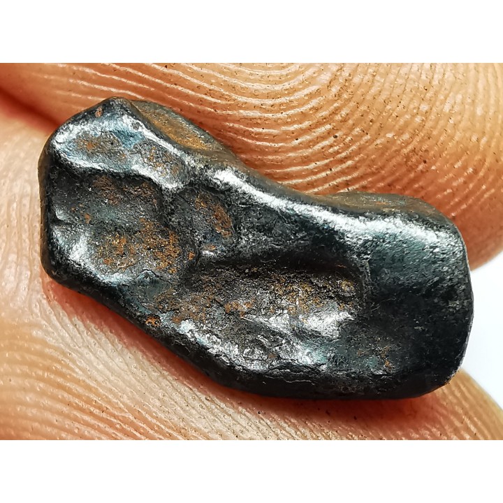 METEORITE: SIDERITE IIAB from SIKHOTE ALIN, Russia