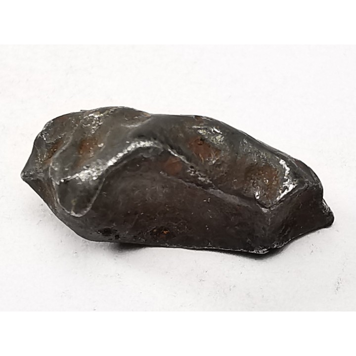 Météorite : SIDERITE IIAB de SIKHOTE ALIN, Russie