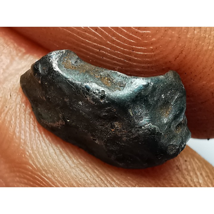 Météorite : SIDERITE IIAB de SIKHOTE ALIN, Russie