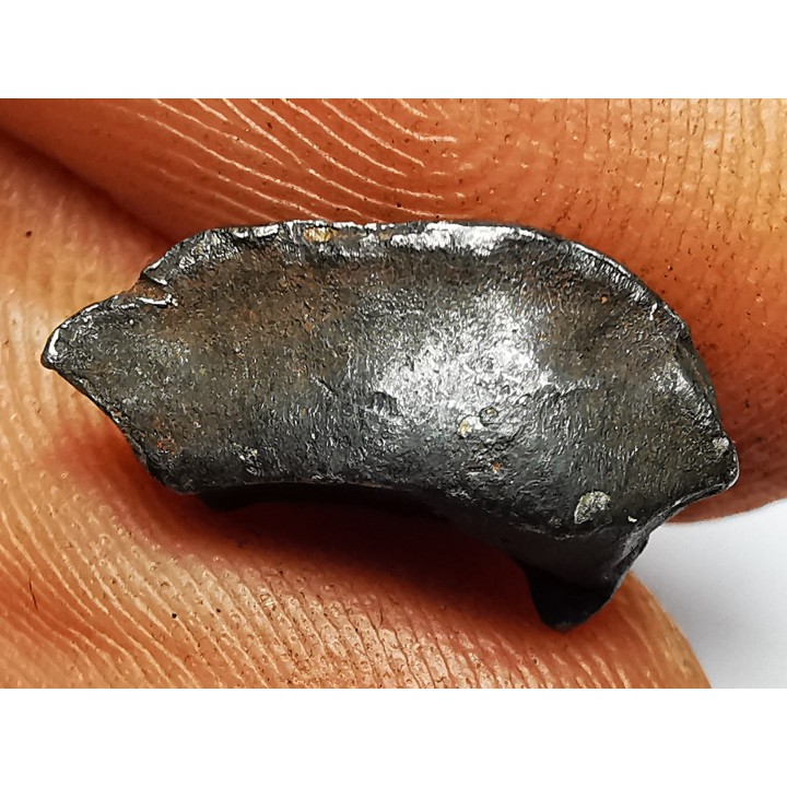 Météorite : SIDERITE IIAB de SIKHOTE ALIN, Russie