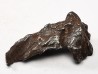 METEORITE: SIDERITE IIAB from SIKHOTE ALIN, Russia