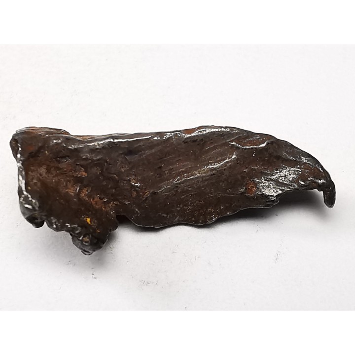 Météorite : SIDERITE IIAB de SIKHOTE ALIN, Russie