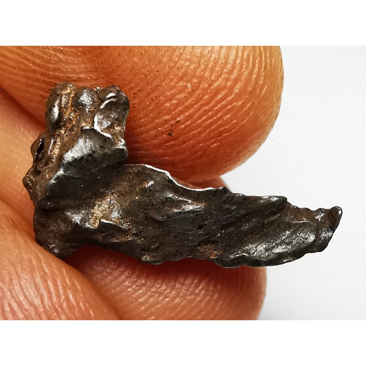 METEORITE: SIDERITE IIAB from SIKHOTE ALIN, Russia