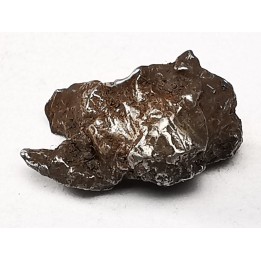Météorite : SIDERITE IIAB de SIKHOTE ALIN, Russie