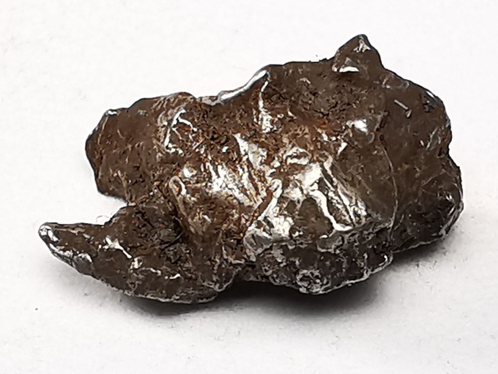 METEORITE: SIDERITE IIAB from SIKHOTE ALIN, Russia