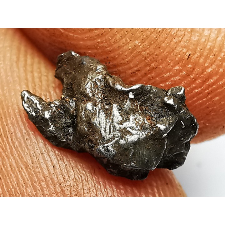 METEORITE: SIDERITE IIAB from SIKHOTE ALIN, Russia