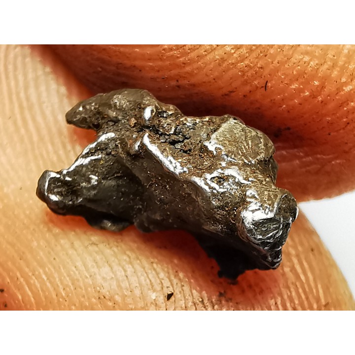 Météorite : SIDERITE IIAB de SIKHOTE ALIN, Russie