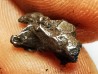 METEORITE: SIDERITE IIAB from SIKHOTE ALIN, Russia