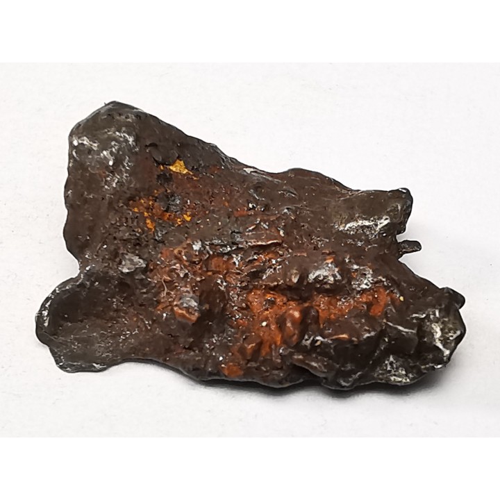 Météorite : SIDERITE IIAB de SIKHOTE ALIN, Russie