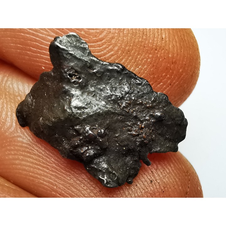 Météorite : SIDERITE IIAB de SIKHOTE ALIN, Russie