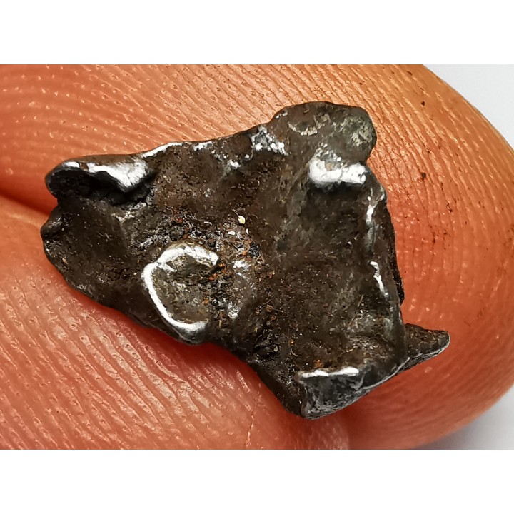 Météorite : SIDERITE IIAB de SIKHOTE ALIN, Russie