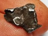 METEORITE: SIDERITE IIAB from SIKHOTE ALIN, Russia