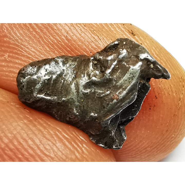 Météorite : SIDERITE IIAB de SIKHOTE ALIN, Russie