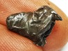 Météorite : SIDERITE IIAB de SIKHOTE ALIN, Russie