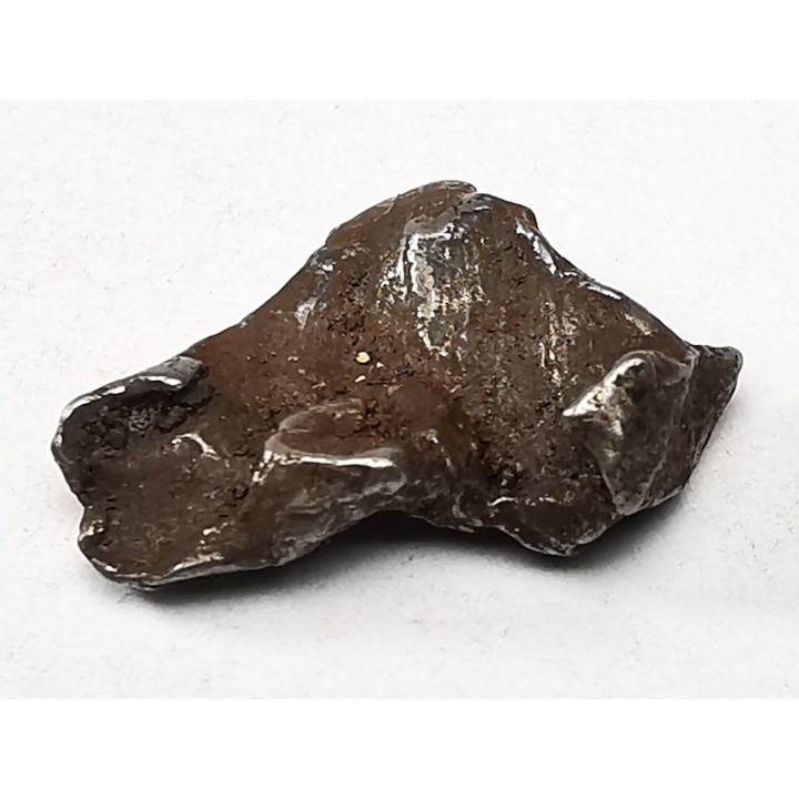 Météorite : SIDERITE IIAB de SIKHOTE ALIN, Russie