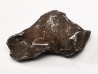 METEORITE: SIDERITE IIAB from SIKHOTE ALIN, Russia