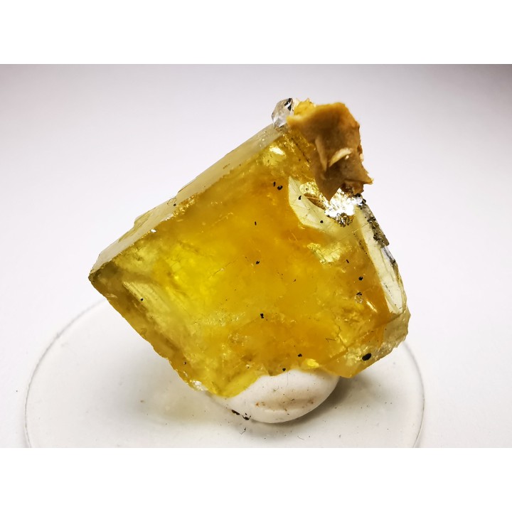 fluorite de Peyrebrune (81), France