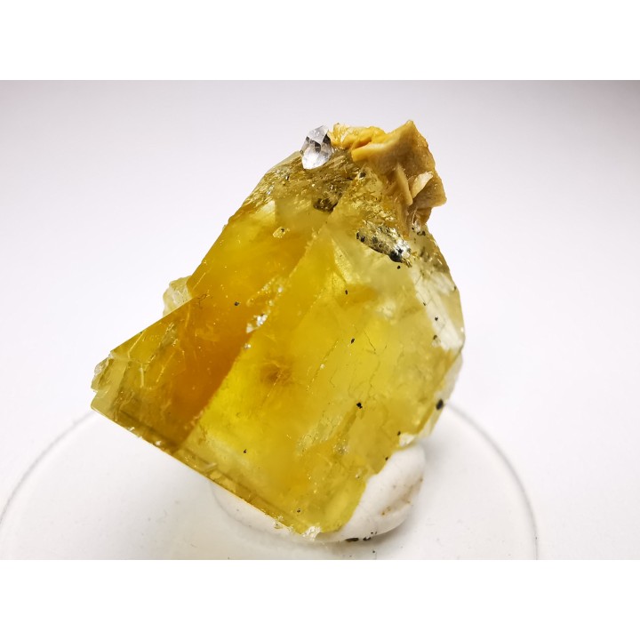 fluorite de Peyrebrune (81), France
