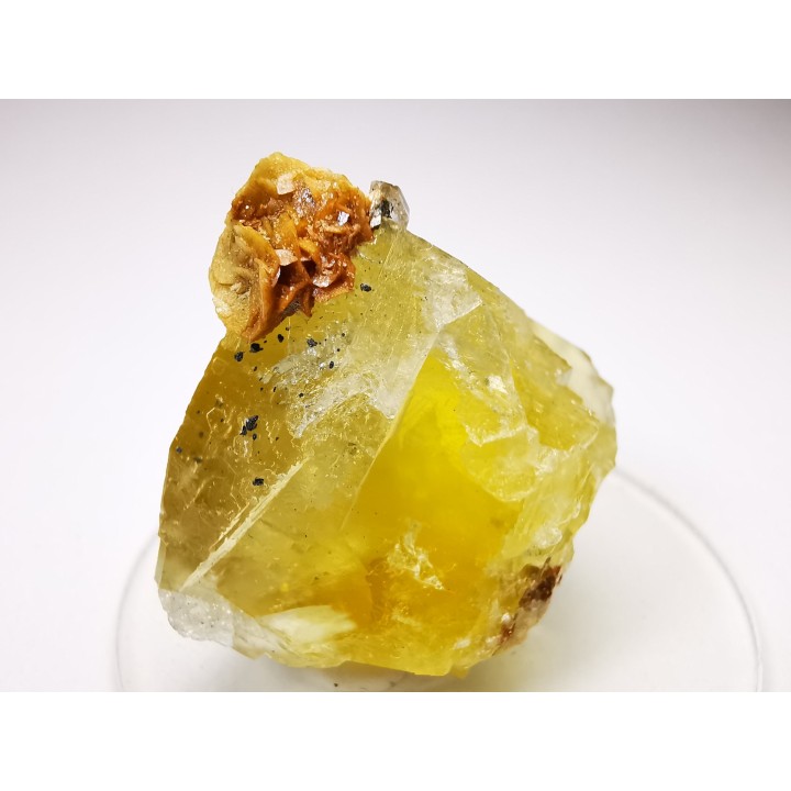Fluorite, Peyrebrune Mine (81), France