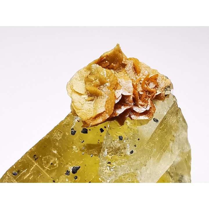 fluorite de Peyrebrune (81), France