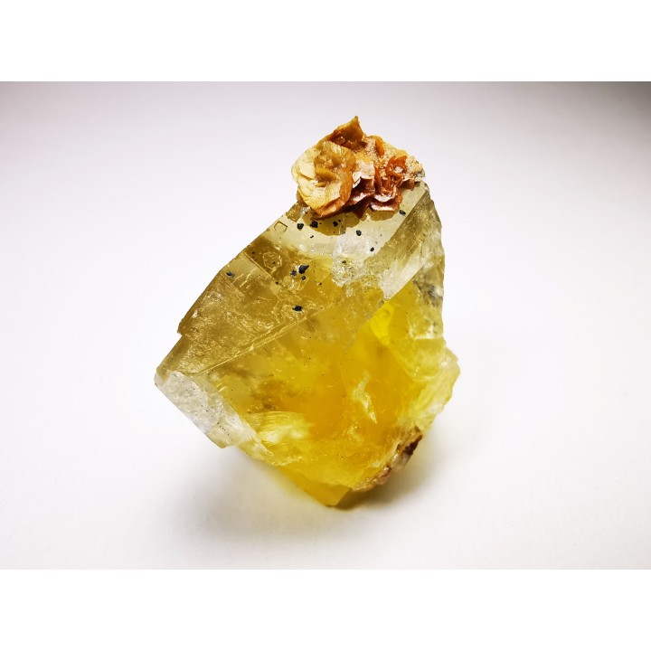 fluorite de Peyrebrune (81), France