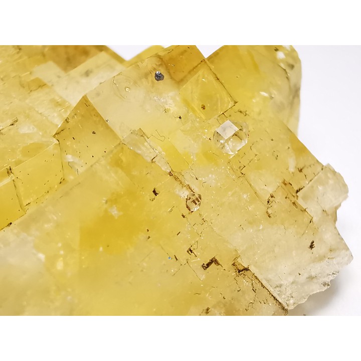 fluorite de Peyrebrune (81), France