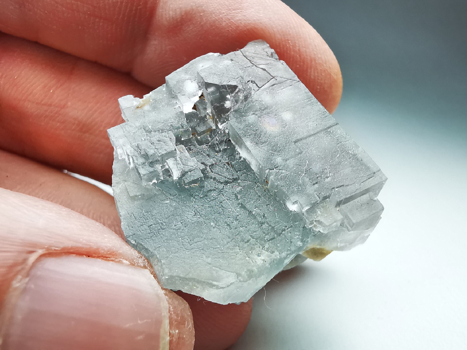 Fluorite, Le Burc Mine (81), France